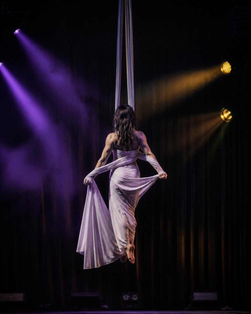 Danza aerea